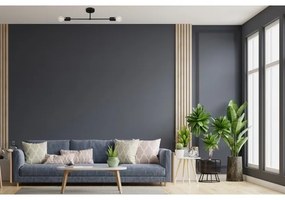 Prisadený luster CAMBRIDGE 2xE27/15W/230V čierna