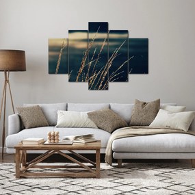 Obraz tráv (150x105 cm)