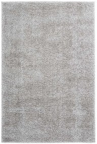 Obsession Kusový koberec My Emilia 250 Silver Rozmer koberca: 60 x 110 cm