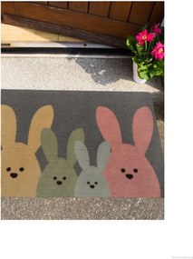 Hanse Home, AKCIA: 40x60 cm Protišmyková rohožka Printy 104452 Grey, Multicolor, viacfarebná, chodba / predsieň