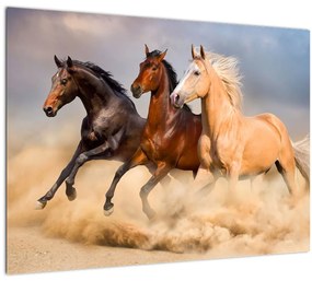 Sklenený obraz - Divé kone (70x50 cm)