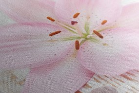 Obraz ružový kvet na drevenom podklade