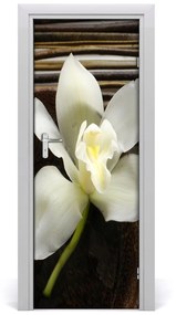 Fototapeta na dvere orchidea 75x205 cm