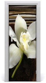 Fototapeta na dvere orchidea 95x205 cm