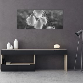 Obraz - Cottongrass (120x50 cm)