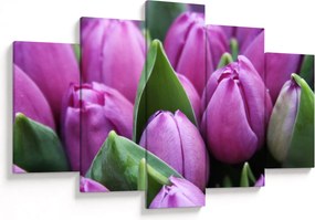 Obraz - kvety tulipánov (150x105 cm)