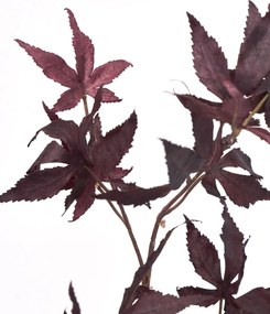 House Doctor Umelý kvet Maple Burgundy 90 cm