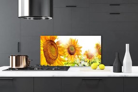 Sklenený obklad Do kuchyne Slnečnica kvet rastlina 140x70 cm