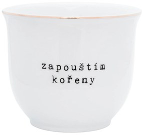 Bella Rose Porcelánový obal na kvetináč Zapouštím kořeny 10 cm - CZ