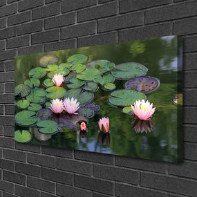 Obraz Canvas Vodné lilie rybník príroda 125x50 cm