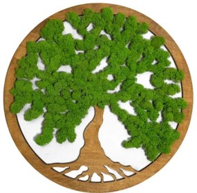 Strom na stenu z machu Tinker 60 cm