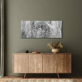 Obraz - Divoká lúka (120x50 cm)