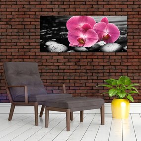 Obraz - Ružové orchidey (120x50 cm)