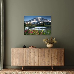 Sklenený obraz - Mount Rainier (70x50 cm)