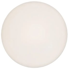Rabalux 71124 - LED stropné svietidlo RORIK LED/24W/230V 4000K 38 cm