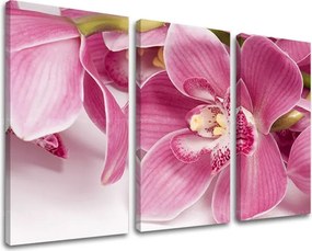 Obraz na stenu 3 dielny KVETY KV034E30 - 120x80 cm