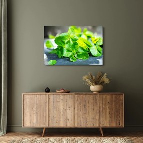 Obraz mäty (90x60 cm)