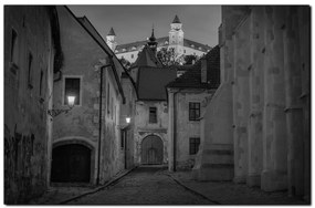 Obraz na plátne - Bratislava staré mesto s hradom vzadu 1265QA (90x60 cm  )