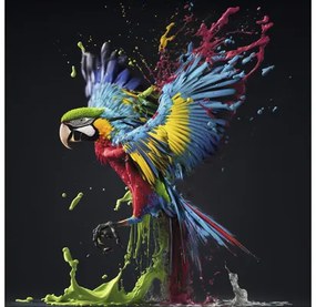 Sklenený obraz Colorful Ara 50x50 cm