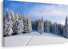Obraz - Zima v lesoch (90x60 cm)