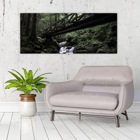 Obraz z čierneho lesa (120x50 cm)