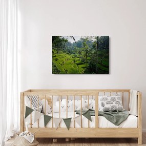 Obraz ryžových terás Tegalalang, Bali (90x60 cm)