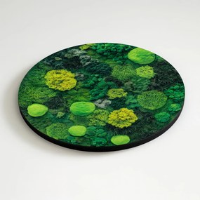 DUBLEZ | Drevený obraz na stenu - Machy