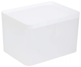 Úložný box GIZMO biely 883403