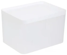 Úložný box GIZMO biely 883403