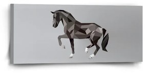 Sablio Obraz Kôň - 110x50 cm