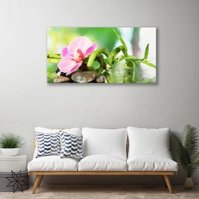 Obraz Canvas Bambus stonka rastlina príroda 125x50 cm