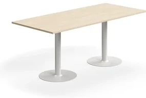 Stôl ALVA, 1800x800x720 mm, s kotvením do zeme, HPL, biela/breza
