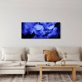 Obraz - Medúzy (120x50 cm)