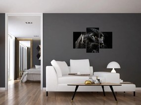 Obraz - Čierny panter (90x60 cm)