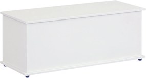 HOMCOM Drevená úložná truhlica s vrchnákom na uloženie do spálne a obývacej izby, max. nosnosť 120 kg, 100x40x40 cm, biela | Aosom