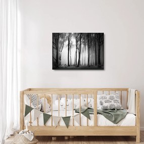 Sklenený obraz - Vlk v temnom lese (70x50 cm)