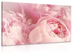 Obraz lupienky kvetu - 90x60
