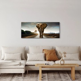 Obraz slona (120x50 cm)