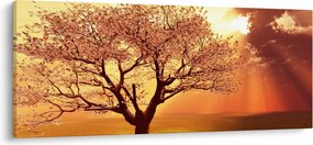 Obraz lúčov Boha (120x50 cm)