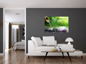 Obraz - Lotus (90x60 cm)