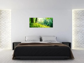 Obraz - Magická lúka plná púpav (120x50 cm)