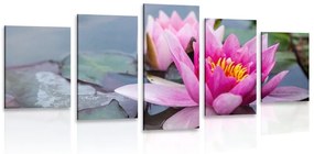5-dielny obraz ružový lotosový kvet - 200x100