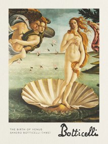 Umelecká tlač The Birth of Venus - Sandro Botticelli, (30 x 40 cm)