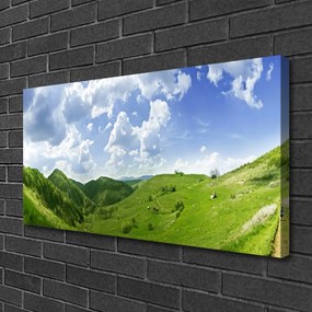 Obraz Canvas Hora lúka príroda 140x70 cm