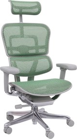 Kancelárske kreslo Ergohuman 2 Elite GS ST green