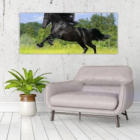 Obraz - Kôň s vzdušnou hrivou (120x50 cm)