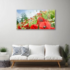 Obraz na skle Kvety príroda 120x60 cm