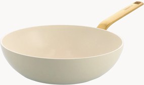 Panvica's nepriľnavým povrchom Evolution