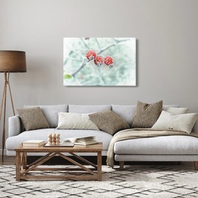 Obraz zmrznutých šípok (90x60 cm)