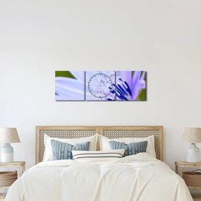 Obraz - kvet (s hodinami) (90x30 cm)